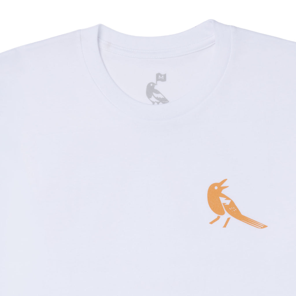 disco T