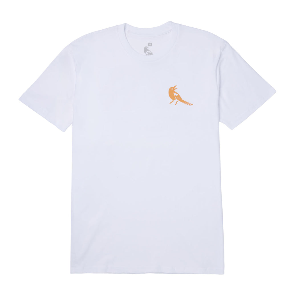 disco T