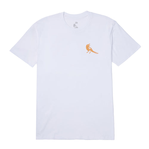 disco T